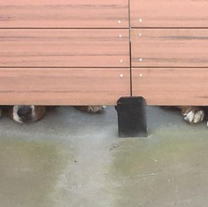 Image post by @bestforpetsmelb on Instagram