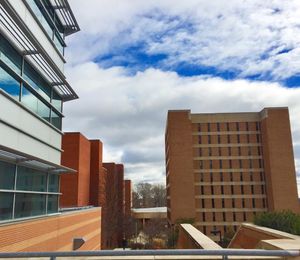 Image post by @umbclife on Instagram