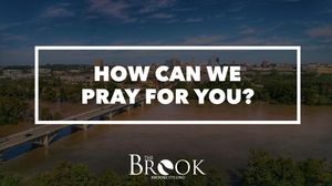 Image post by @wearethebrook on Instagram
