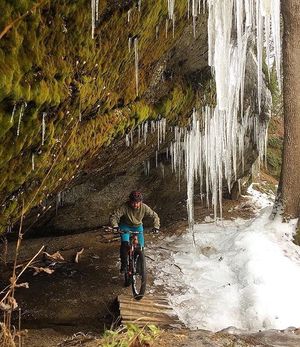 Image post by @tourismabbotsford on Instagram