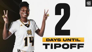 Image post by @ksuowlswbb on Instagram