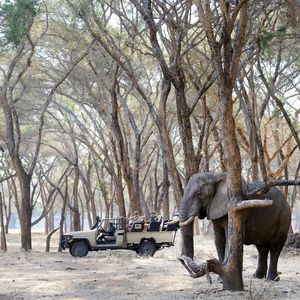 Image post by @chiawasafaris on Instagram