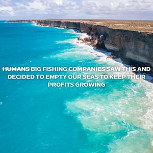 Image post by @Greenpeace on Twitter