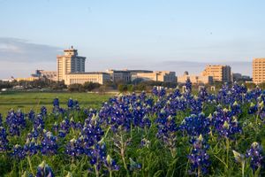 Image post by @tamu on Instagram