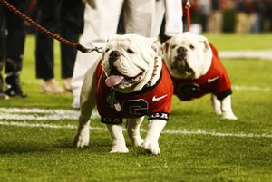 Image post by @universityofga on Instagram