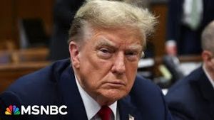 Video post by @msnbc on YouTube