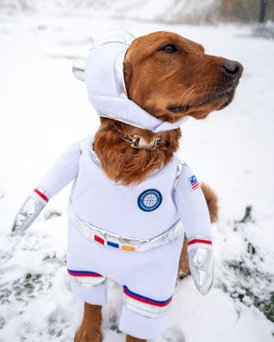 Image post by @winterparkresort on Instagram