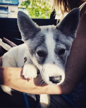 Image post by @karisamaxwell on Instagram
