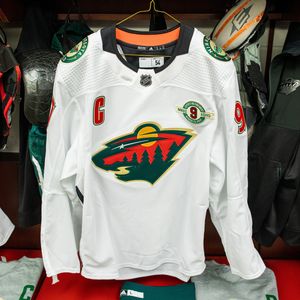 Image post by @minnesotawild on Instagram