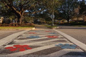 Image post by @uofsouthalabama on Instagram