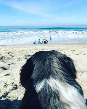 Image post by @bkboreyko on Instagram