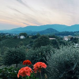 Image post by @cimbaitaly on Instagram
