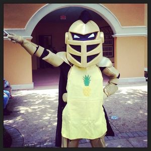 Image post by @rosencollege on Instagram