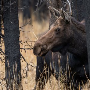 Image post by @nationalparkservice on Instagram