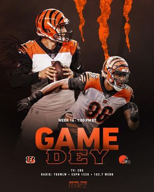 Image post by @bengals on Instagram