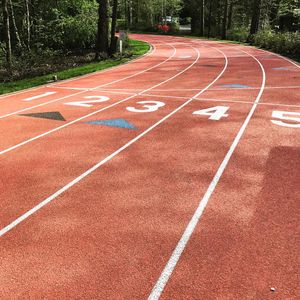 Image post by @shalaneflanagan on Instagram