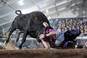 Image post by @bullfightersonly on Instagram