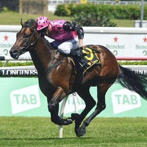Image post by @australianturfclub on Instagram