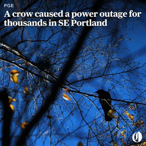 Image post by @theoregonian on Instagram