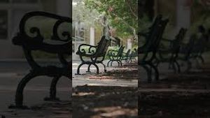 Video post by @uofsc on YouTube