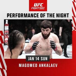 Image post by @ufc_korea on Instagram
