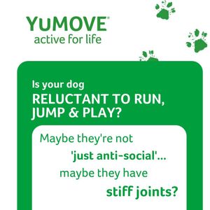 Image post by @yumove_usa on Instagram