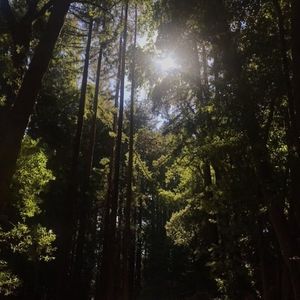 Image post by @ucsc on Instagram