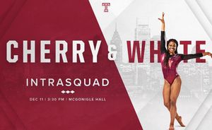 Image post by @templegymnastics on Instagram