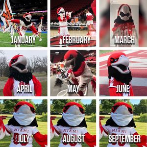 Image post by @miami_redhawks on Instagram