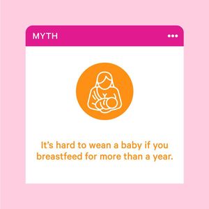 Image post by @pinkstork on Instagram