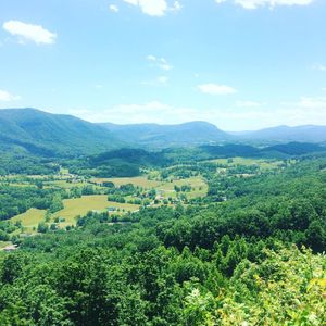 Image post by @annabellescurse on Instagram