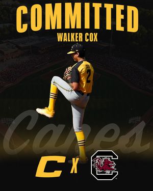 Image post by @thecanesbb on Instagram