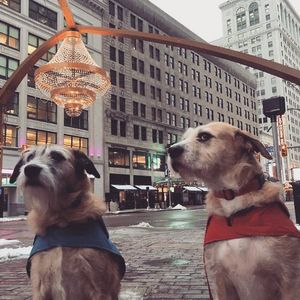 Image post by @playhousesquare on Instagram