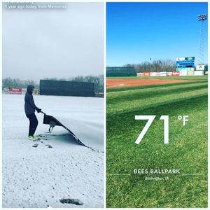 Image post by @burlington_bees on Instagram