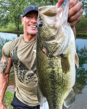 Image post by @therock on Instagram