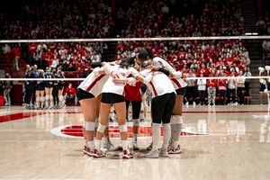 Image post by @badgervb on Instagram