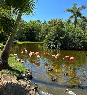 Image post by @visitsarasotacounty on Instagram