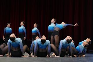 Image post by @hofstradanceteam on Instagram