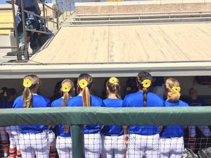 Image post by @gatorssb on Instagram