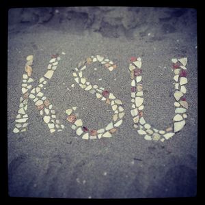 Image post by @kstaterow on Instagram