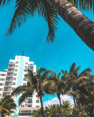 Image post by @theconfidante on Instagram