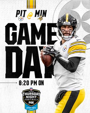 Image post by @steelers on Instagram