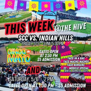 Image post by @burlington_bees on Instagram