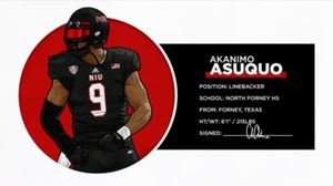 Image post by @niuhuskies on Instagram