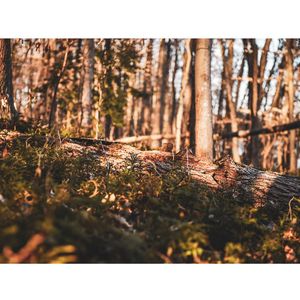 Image post by @jbyrne_photography on Instagram