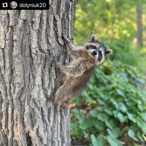Image post by @fargoparks on Instagram