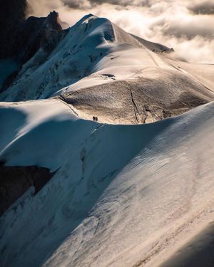 Image post by @moment on Instagram
