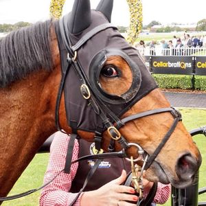 Image post by @australianturfclub on Instagram