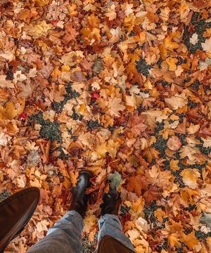 Image post by @hellomeridian on Instagram