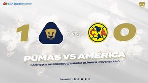 Image post by @PumasMX on Twitter